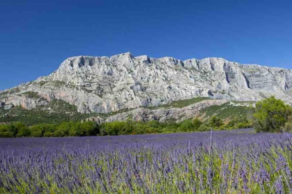Le Cardinale - Un Voyage En Provence - 2 Chambres Avec Parking Aix-en-Provence Luaran gambar